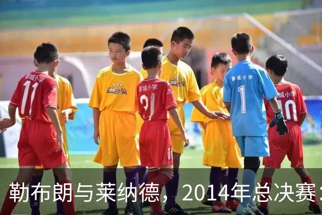 勒布朗与莱纳德，2014年总决赛：谁爆了谁？